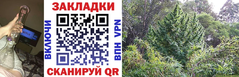 Продажа наркотиков Ленинск-Кузнецкий Канабис  COCAIN  APVP  Меф 
