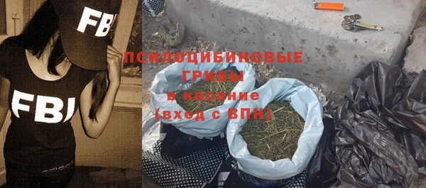 спиды Алексеевка